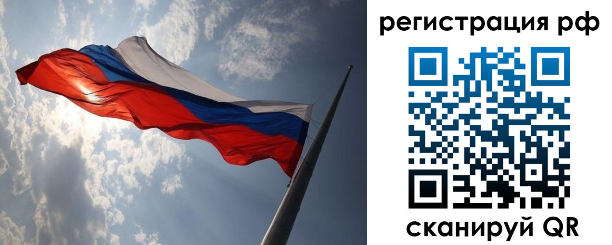 прописка поиск в Кингисеппе